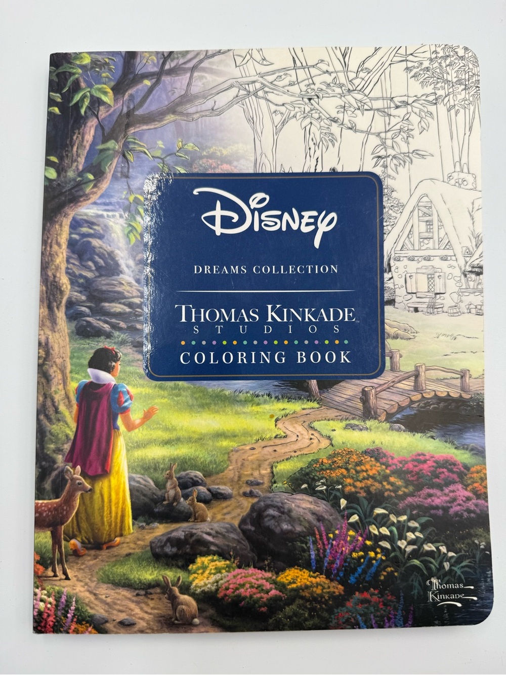 Disney Coloring Book - Blue, Green, Yellow Cover
